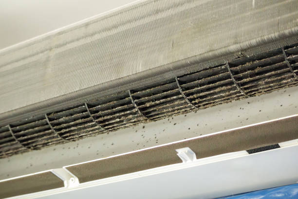 Best Local Air Duct Cleaning Services  in Glen Raven, NC